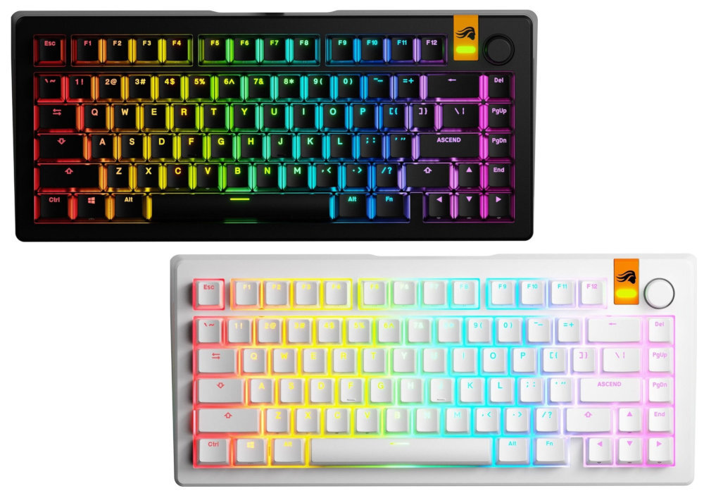 GLORIOUS GMMK 3 Prebuilt HE Glorious GMMK 3 dwóch wariantach kolorystycznych klasycznej czerni stylowej bieli Czarny model biały wariant - klawiatura w dwóch wariantach kolorystycznych, biały i czarny