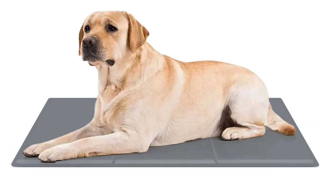 Mata chłodząca EXTRALINK PET-1111 50 x 90 cm Szary Chłodząca wygoda dla pupil wygląd design tło prezentacja wizualizacja