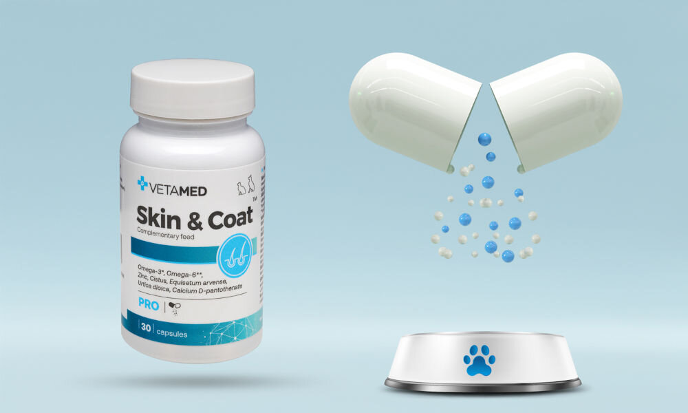 Suplement dla psa i kota VETAMED Skin & Coat (30 kapsułek) w białym pojemniku po lewej stronie oraz otwarta kapsułka uwalniająca fioletowe i białe cząsteczki do miski z symbolem łapki po prawej stronie, na jasnoniebieskim tle