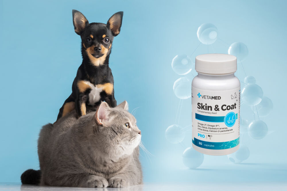 Suplement dla psa i kota VETAMED Skin & Coat (30 kapsułek) Mały piesek rasy chihuahua siedzący na grzbiecie dużego szarego kota po lewej stronie oraz produkt Stress Relief marki Vetamed w białym pojemniku po prawej stronie na tle niebieskiej grafiki z kulistymi cząsteczkami