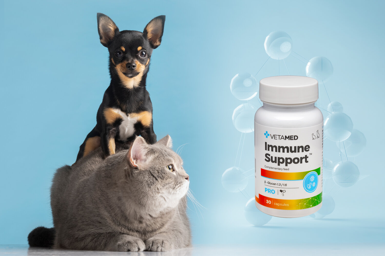 Suplement dla psa i kota VETAMED Immune Support (30 kapsułek na Odporność) Mały piesek rasy chihuahua siedzący na grzbiecie dużego szarego kota po lewej stronie oraz produkt Stress Relief marki Vetamed w białym pojemniku po prawej stronie na tle niebieskiej grafiki z kulistymi cząsteczkami