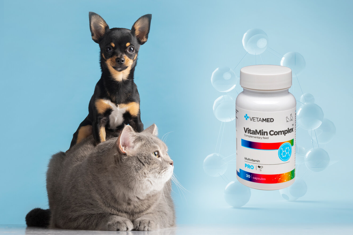 Suplement dla psa i kota VETAMED VitaMin Complex (30 kapsułek) Mały piesek rasy chihuahua siedzący na grzbiecie dużego szarego kota po lewej stronie oraz produkt Stress Relief marki Vetamed w białym pojemniku po prawej stronie na tle niebieskiej grafiki z kulistymi cząsteczkami