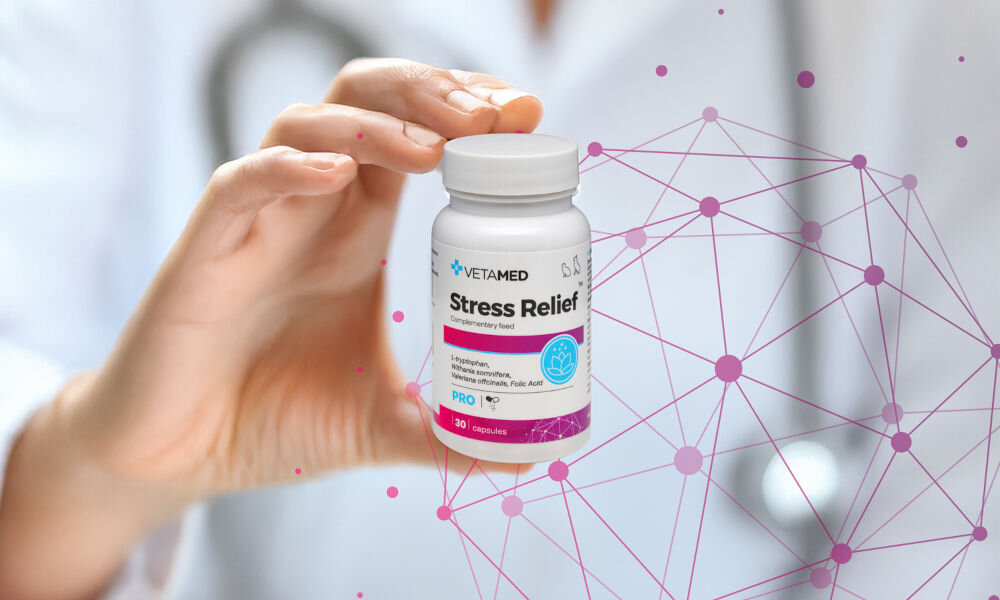 Suplement dla psa i kota VETAMED Stress Relief (30 kapsułek) opakowanie trzymanie w dłoni przez osobę w kitlu