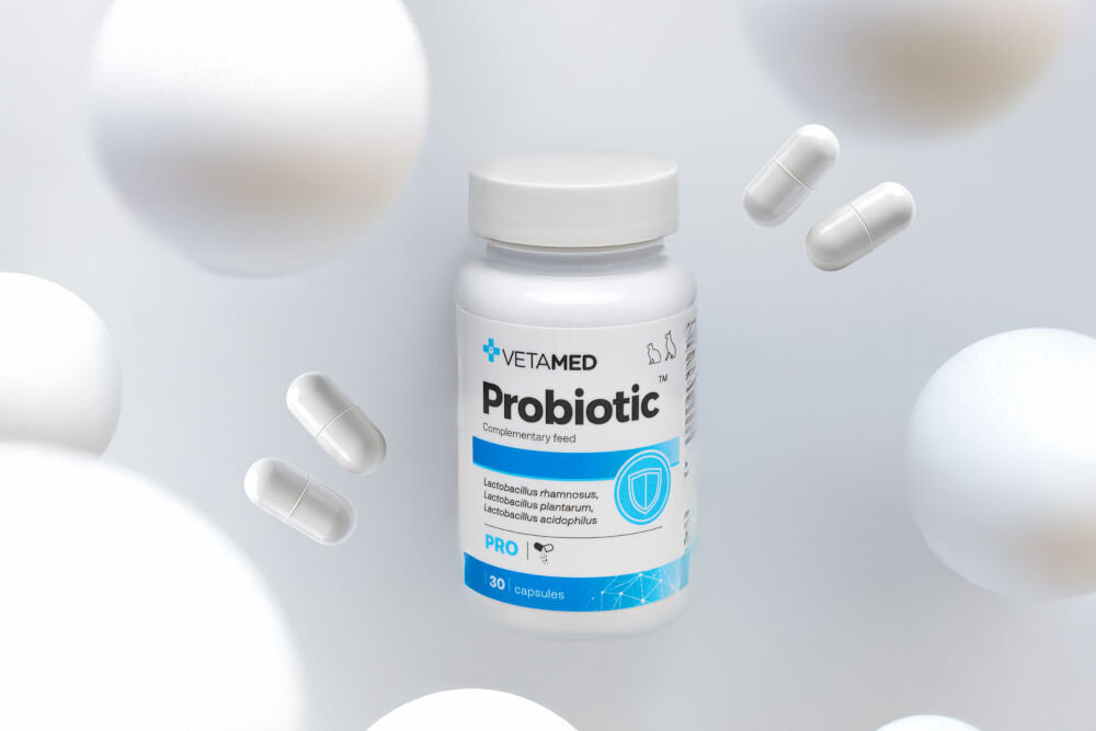 Suplement dla psa i kota VETAMED Probiotic (30 kapsułek) opakowanie i tabletki na jasnym tle