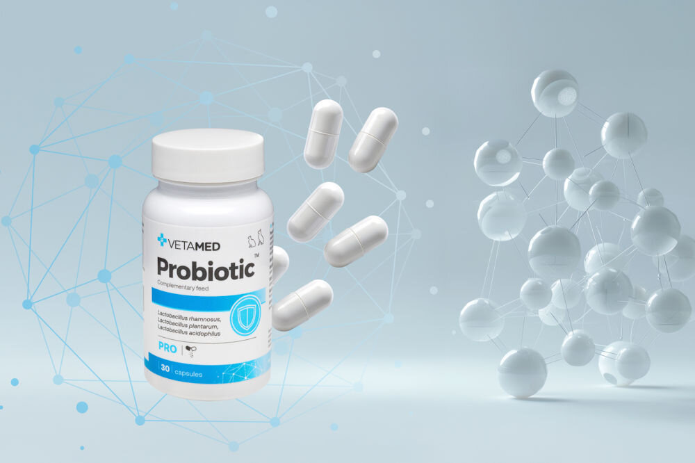 Suplement dla psa i kota VETAMED Probiotic (30 kapsułek) opakowanie i tabletki na jasnym tle szczepy bakterii prebiotyki
