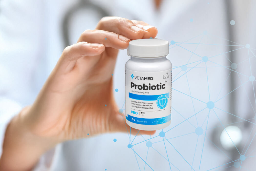 Suplement dla psa i kota VETAMED Probiotic (30 kapsułek) opakowanie trzymane w dłoni w tle widoczna osoba w fartuchu