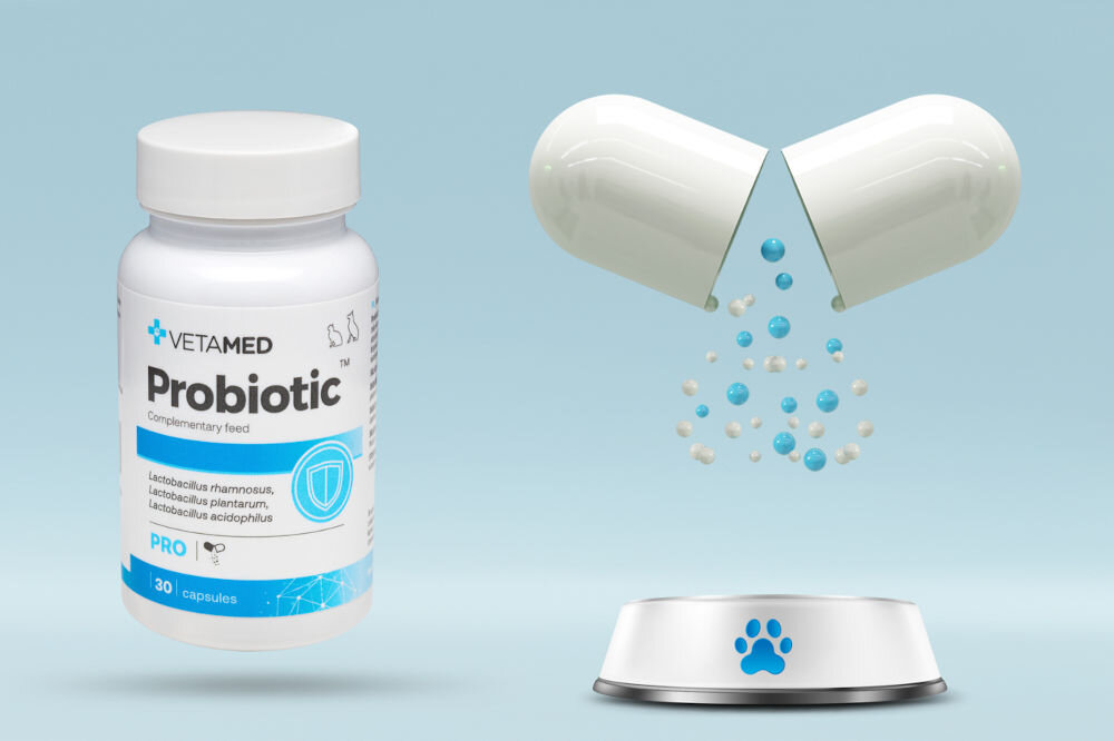 Suplement dla psa i kota VETAMED Probiotic (30 kapsułek) opakowanie produktu obok otwarta kapsułka z zawartością wysypującą się do miski