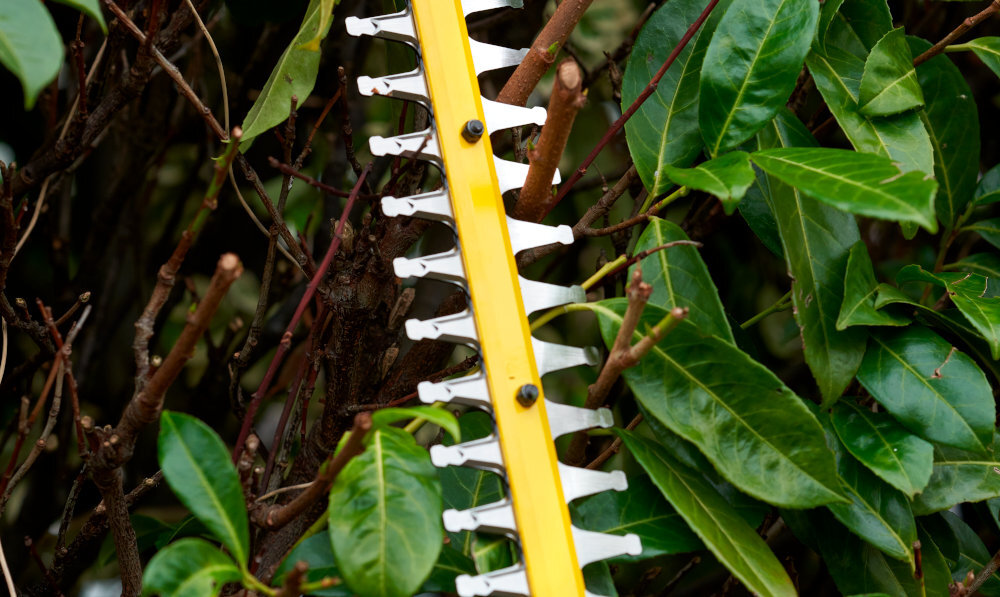 Nożyce do żywopłotu STANLEY SFMCHT855B-XJ 550mm 18V akumulatorowe żywopłot ogród zbliżenie na ostrze ostrze oparte o żywopłot podwójne ostrze o długości 55 cm ze stali hartowanej precyzyjne cięcie gałęzi do 35 mm grubości objęcie większej powierzchni w jednym ruchu falista konstrukcja ostrza redukuje wibracje