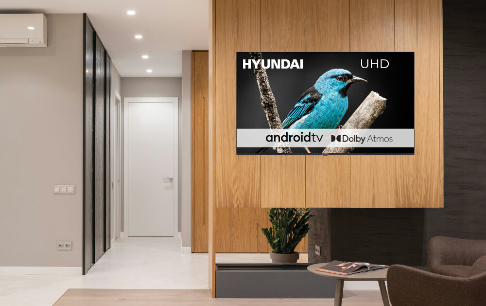 Telewizor HYUNDAI ULX55359GSMART - telewizja hybrydowa, HbbTV