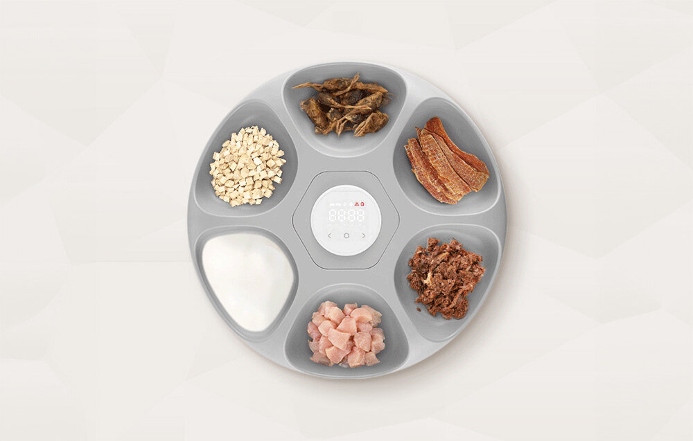 Dozownik karmy automatyczny ROJECO 6 Meals Automatic Cat Feeder with 2 Ice Packs Inteligentny dozownik karmy Rojeco 6 przegród karma mokra sucha przekąski chłodziarka akumulator