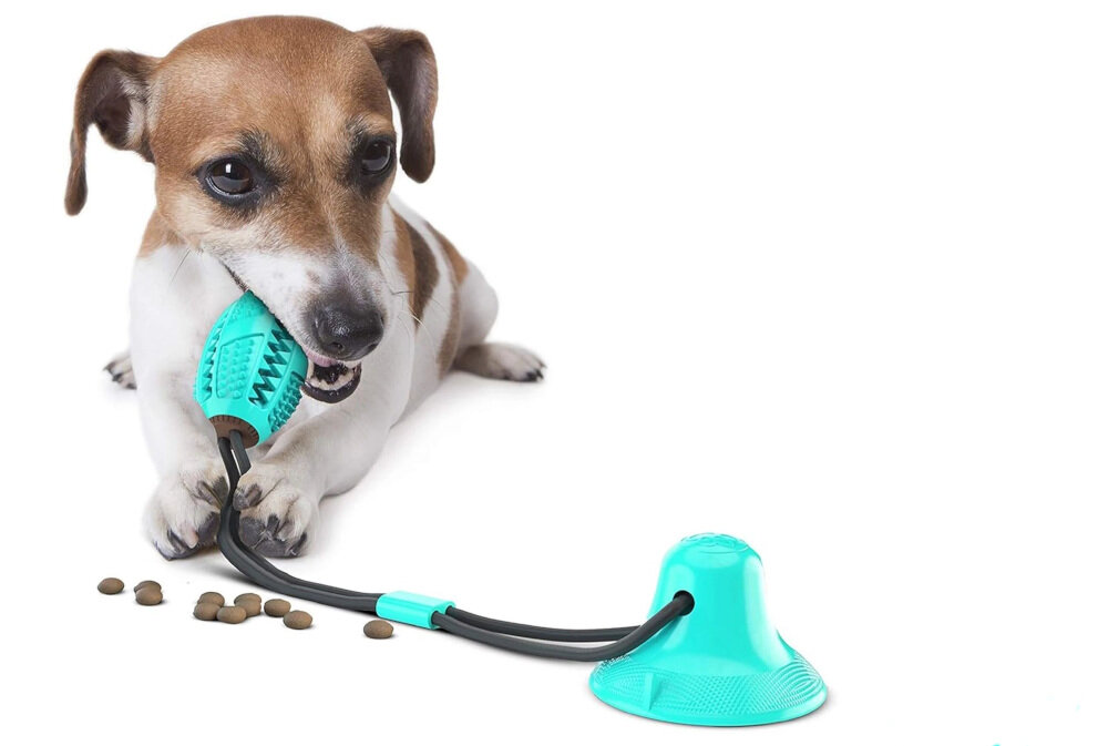 Zabawka dla psa EXTRALINK Pet-844 Korzystna pielęgnacja zębów pomaga usuwać osad z zębów oraz masować dziąsła wspiera świeży oddech i zdrową jamę ustną profilaktyka zabawa