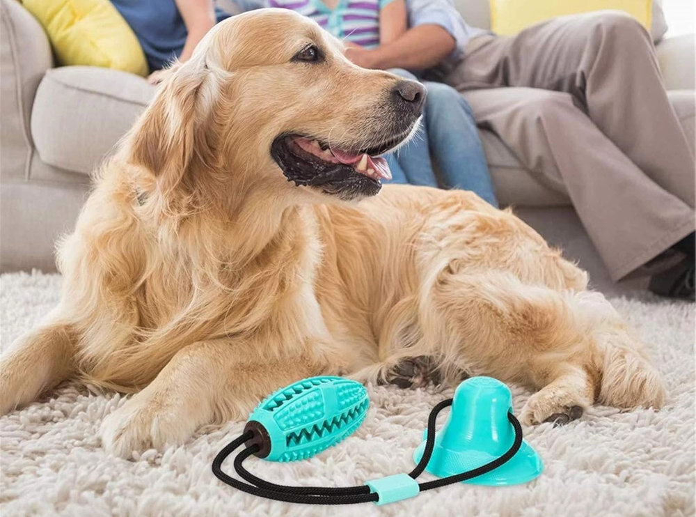 Zabawka dla psa EXTRALINK Pet-844 Wsparcie aktywności fizycznej Połączenie sznurka i gryzaka ruch zabawa kondycja wsparcie samopoczucie