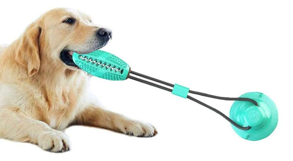 Zabawka dla psa EXTRALINK Pet-844 Uniwersalne zastosowanie Regulowana długość solidna konstrukcja wygodne rozwiązanie zabawa