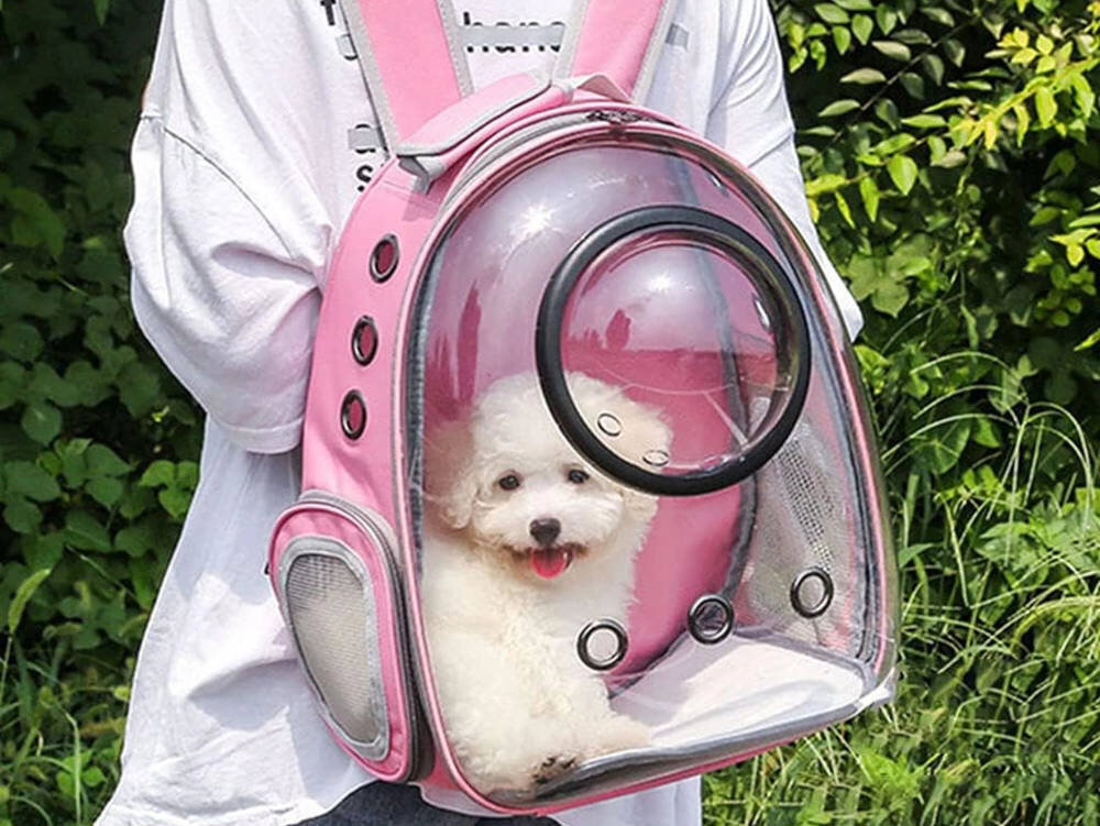 Transporter EXTRALINK PET-997 wygląd prezentacja design wizualizacja Komfortowa podróż ze zwierzakiem