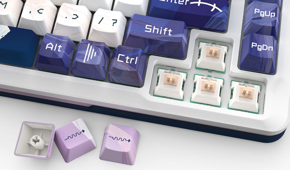 Klawiatura REDRAGON K681ACG-RGB-PRO Cyrus
wytrzymałe klawisze PBT wykonane w technologii Double Injection PBT, produkt na białym tle, wyciągnięte nakładki na przyciski strzałek, widoczne przełączniki