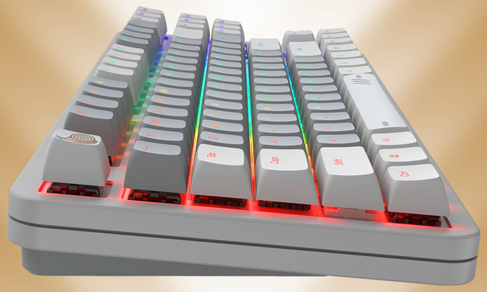Klawiatura DARK PROJECT ALU87 Onionite Wired nakładnki KeyCaps wykonane z grubego tworzywa ABS Double-Shot autorski profil klawiszy CSA
gumowe nóżki do zmiany kąta nachylenia trzy dodatkowe nakładki w zestawie spacja, enter, esc