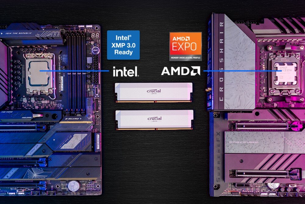 Pamięć RAM CRUCIAL Pro OC Dwa moduły pamięci RAM leżące poziomo pomiędzy fragmentami płyt głównych z widocznymi na dole oznaczeniami Intel XMP i AMD EXPO
