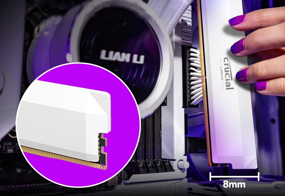 Pamięć RAM CRUCIAL Pro OC Zbliżenie na dłoń wkładającą biały moduł pamięci do gniazda na płycie głównej oraz powiększony w kółku przekrój boczny radiatora