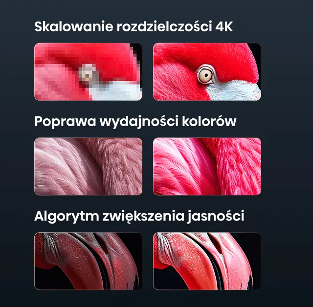 Porównanie jakości obrazu 1080P i 4K na przykładzie flaminga. Obok mniejsze grafiki zbliżeń na pióra, oko i dziób ptaka.