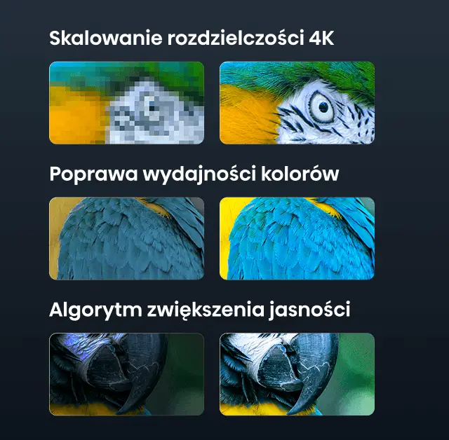 Porównanie jakości obrazu 1080P i 4K na przykładzie flaminga. Obok mniejsze grafiki zbliżeń na pióra, oko i dziób ptaka.