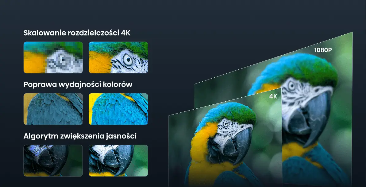 Porównanie jakości obrazu 1080P i 4K na przykładzie flaminga. Obok mniejsze grafiki zbliżeń na pióra, oko i dziób ptaka.