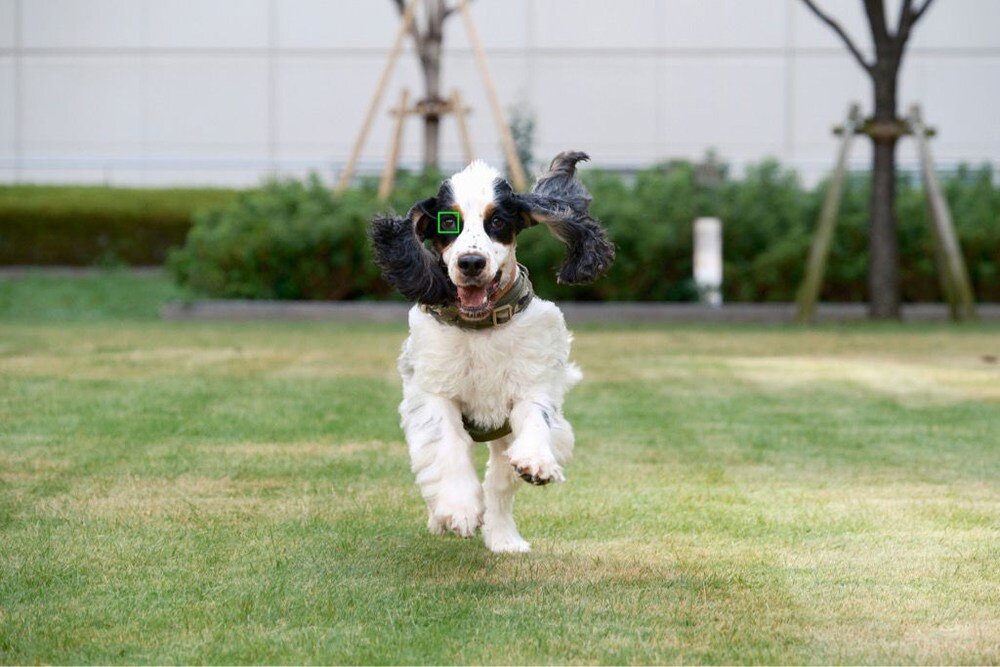 Aparat FUJIFILM X-M5 autofokus SI rozpoznawanie obiektów zwierzęta pojazdy ptaki