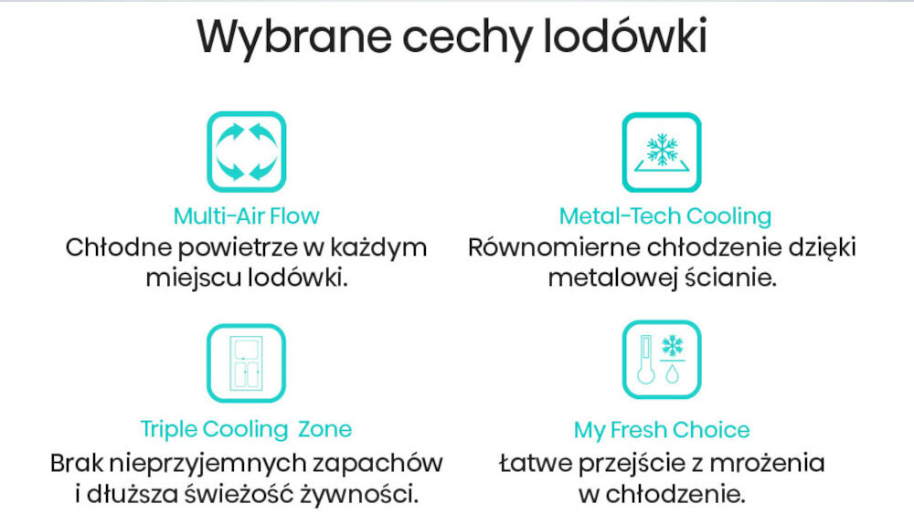 LODÓWKA HISENSE RF728N4SBFE MD cechy