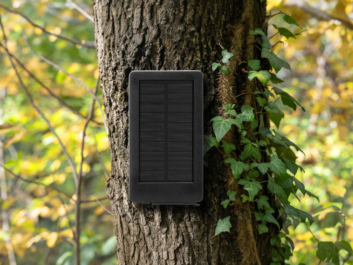 Panel słoneczny REDLEAF RD3019 Pro, energia, zasilanie, słońce, moc, Panel słoneczny Redleaf przymocowany do drzewa w naturalnym środowisku leśnym, ekspozycja panelu.