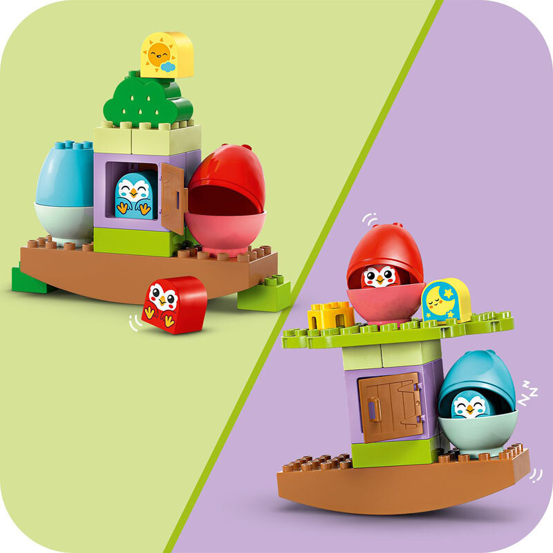 Poznawanie dnia i nocy