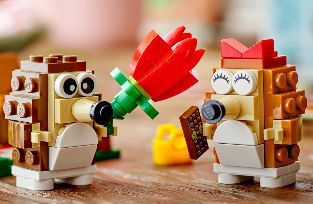 LEGO 40711 Iconic Piknik pary jeżyków prezent zbliżenie zestawu