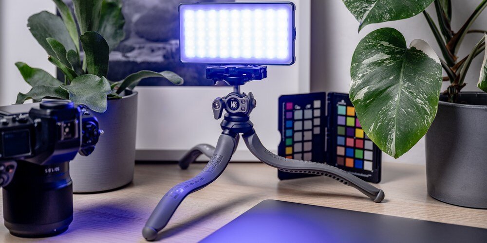 Lampa Newell LED RGB-W Rangha na statywie obok aparatu i roślin, oświetlająca stanowisko fotograficzne niebieskim światłem