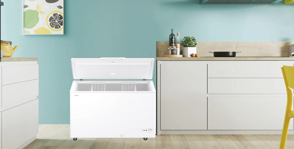 Zamrażarka CANDY CCHH 3012E przechowywanie spore zapasu wydajna praca 300 litrów wystarczająco dużo miejsca wnętrze konstrukcja mięso owoce ryby zapasy