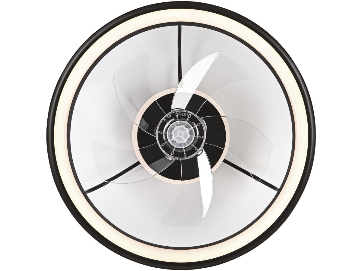 Plafon z wiatrakiem LAMKUR Fargo LM-FL-2.226 49892 Czarny, wiatrak, konstrukcja, średnica, forma, na białym tle plafon frontem na wprost