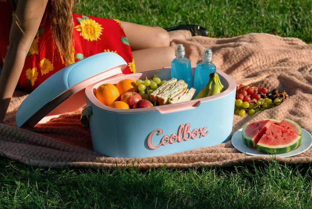 Lodówka turystyczna MILLA HOME TC300 Otwarta lodówka turystyczna Coolbox wypełniona owocami, kanapkami i niebieskimi bidonami na różowym kocu.