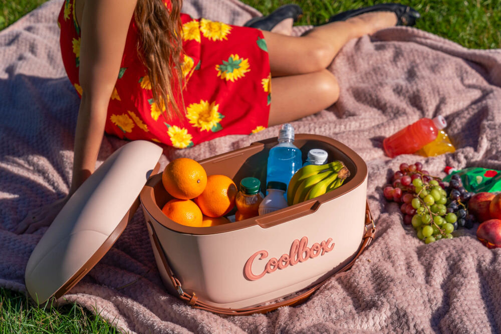 Lodówka turystyczna MILLA HOME TC300 Otwarta lodówka turystyczna Coolbox wypełniona owocami, kanapkami i niebieskimi bidonami na różowym kocu.