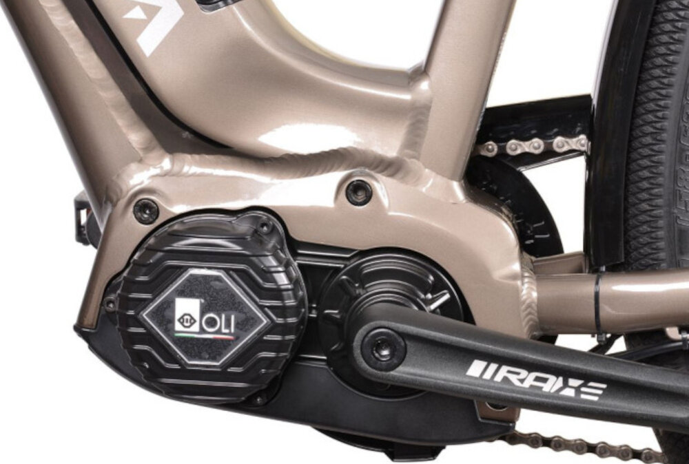 Rower elektryczny BOTTECCHIA Holliwood D19 28 cali Tytanowy zbliżenie na silnik wytrzymały bezszczotkowy silnik renomowanej marki OLI E-bike System moc 250 W cicha i wydajna praca umiejscowiony centralnie niezauważalny