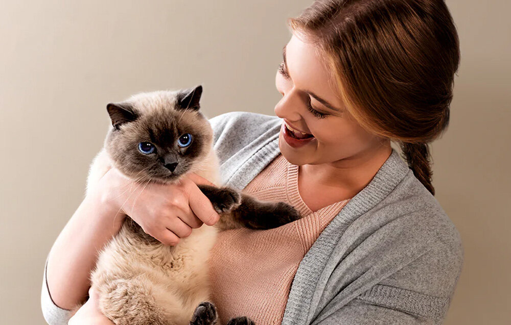 Dozownik karmy automatyczny ONEISALL PFD001 Pro Czarny Karmienie bez stresu wspiera właścicieli w codziennej trosce o zdrowie i rytm dnia  Stały dostęp do świeżej karmy