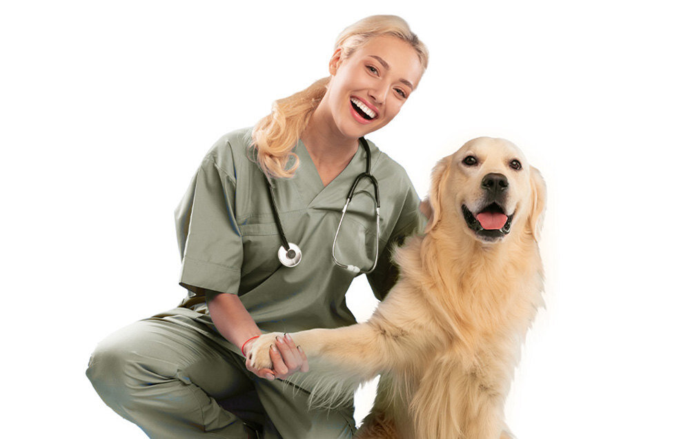 Filtry wymienne do fontanny ONEISALL PWF-002 (8 szt.) Zdrowie i smak z wysokiej jakości materiałów z chloru i metali ciężkich