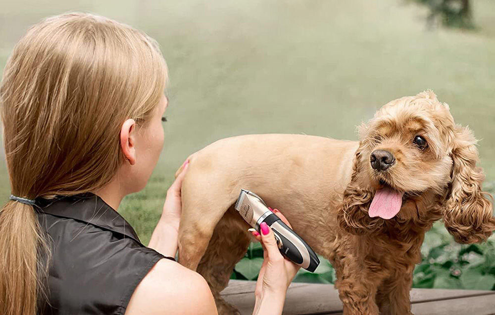 Trymer do strzyżenia zwierząt ONEISALL P2 Złoty wygląd design prezentacja wizualizacja Strzyżenie bez stresu