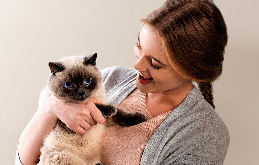 Dozownik karmy automatyczny ONEISALL PFD001 Pro biały System dozowania  samodzielnie zadba o żywienie Twojego psa lub kota