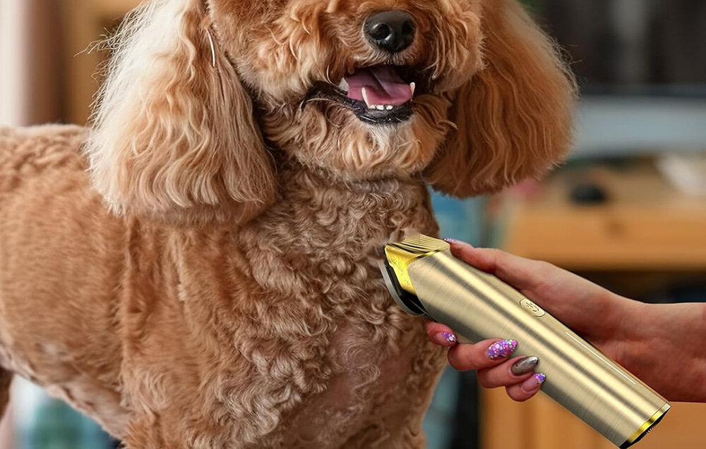 Osoba trzyma trymer do strzyżenia zwierząt przy futrze psa. Trymer ma metaliczną obudowę i jest używany do pielęgnacji sierści.