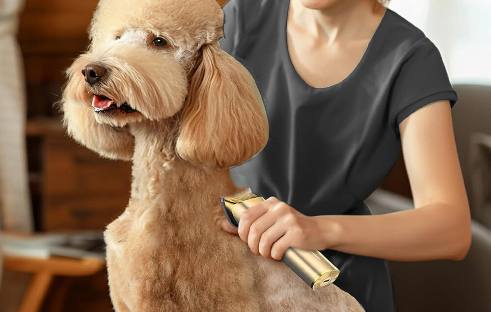Osoba używa trymera do strzyżenia psa o jasnej sierści. Trymer jest w kolorze złotym.