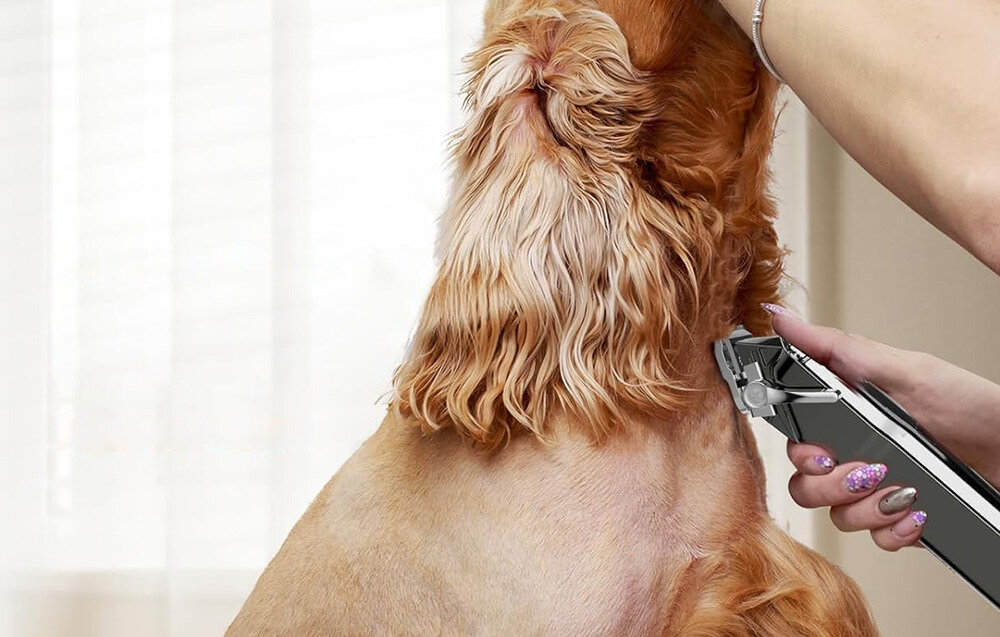 Trymer do strzyżenia zwierząt ONEISALL RFC-676 Wygodna pielęgnacja w domu wygląd design prezentacja wizualizacja
