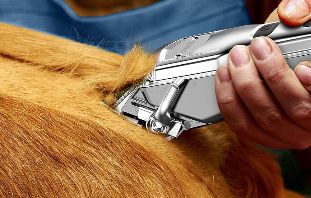 Maszynka do strzyżenia zwierząt ONEISALL RFC-676 + P20 Do detali Smukła budowa uszy, łapy czy okolice pyska bateria pojemność czas pracy czas ładowania zgodnie z normą IPX7