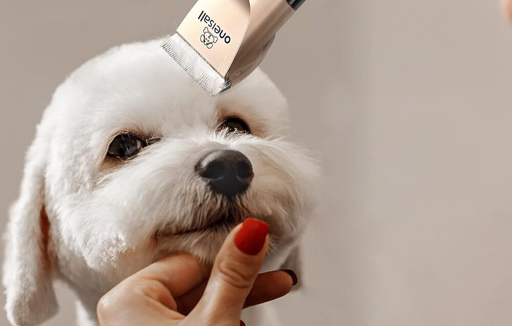 Trymer do strzyżenia zwierząt ONEISALL X2 wygląd design tło wizualizacja Strzyżenie bez stresu