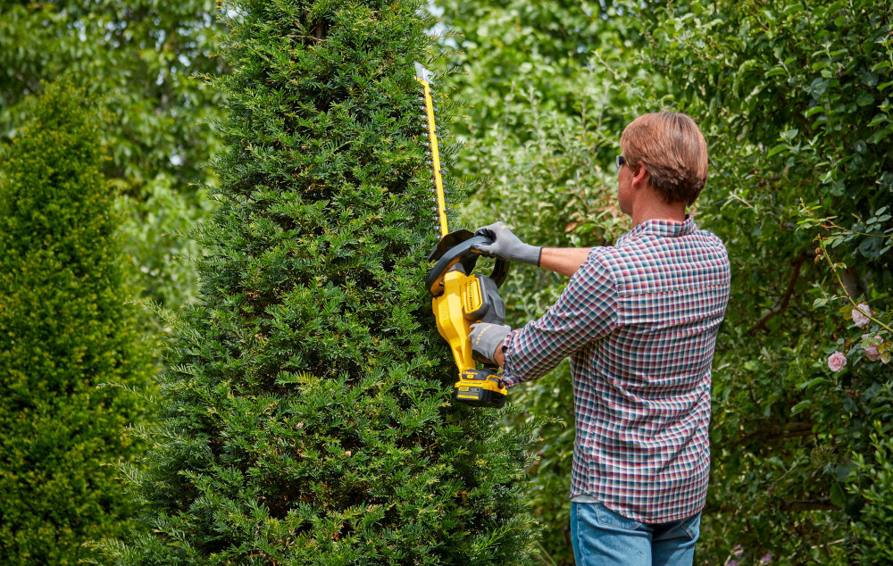 Nożyce do żywopłotu STANLEY SFMCHT855M1-QW 550mm 18V akumulatorowe ogród osoba przycina żywopłot osoba widoczna tyłem w tle inne rośliny do przycinania wyrównywania i formowania krzewów oraz średniej wysokości żywopłotów w ogrodzie pozwalają szybciej wykonać prace sezonowe ograniczyć wysiłek fizyczny
