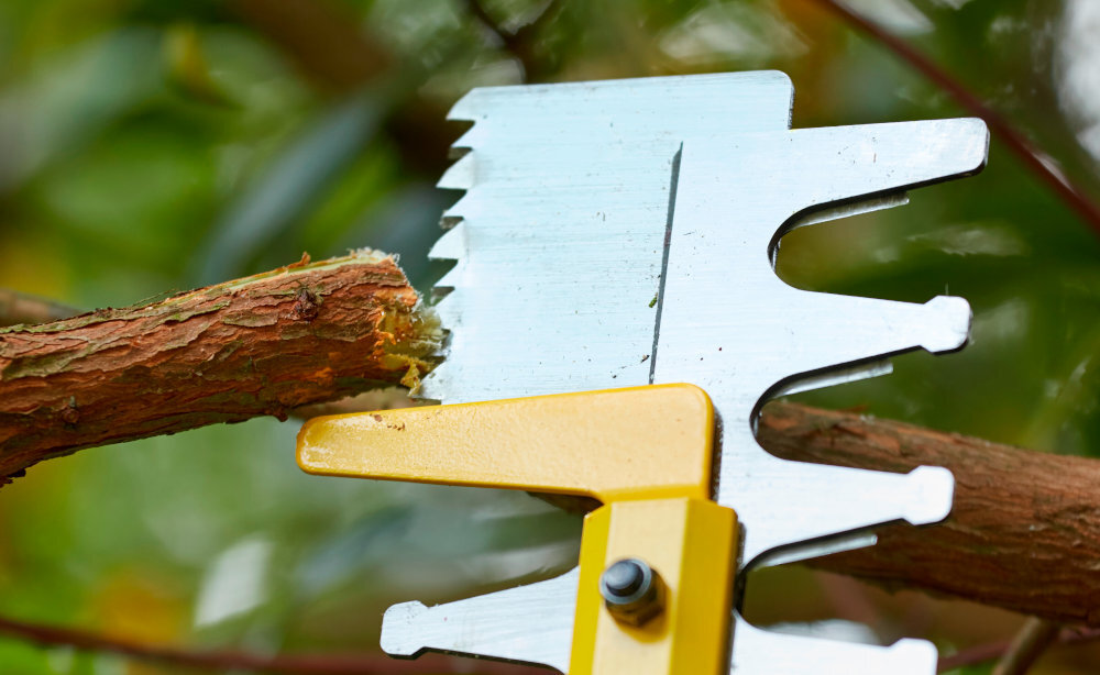 Nożyce do żywopłotu STANLEY SFMCHT855M1-QW 550mm 18V akumulatorowe żywopłot ogród zbliżenie na brzeszczot na końcu ostrza brzeszczot przecina gałąź funkcja Power Saw dodatkowy brzeszczot na końcu ostrza zwiększa siłę nożyc podczas cięcia grubszych gałęzi użytkownik wykonuje pracę szybciej i przy mniejszym wysiłku fizycznym poprawia kontrolę nad cięciem zmniejsza ryzyko zakleszczenia ostrza