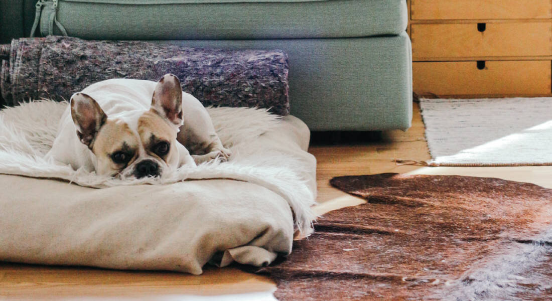 Odkurzacz ADLER AD 7036 wymienne szczotki koncowki