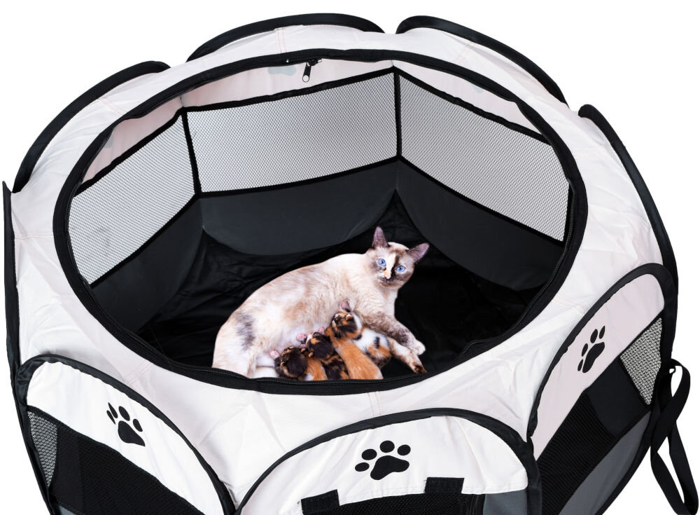 Kojec ZWIERZOPASJA Skiper XXL z systemem pop-up szybkie rozkładanie bez montażu Kotka z niebieskimi oczami (rasy Syjamskiej lub podobnej) leży z trzema małymi kociętami wewnątrz rozłożonego, okrągłego kojca.