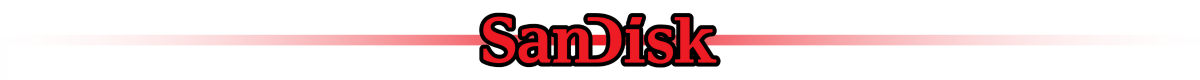 Logo z napisem \'SanDisk\' w czerwonym kolorze, z cieniowaniem i poziomą linią w tle.